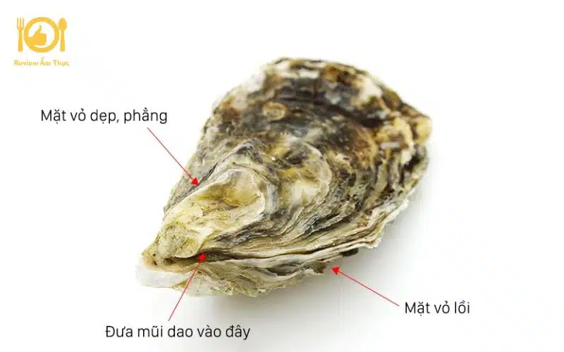 Cách làm hàu nướng mỡ hành bằng lò vi sóng thơm ngon tại nhà 9 hàu nướng mỡ hành bằng lò vi sóng