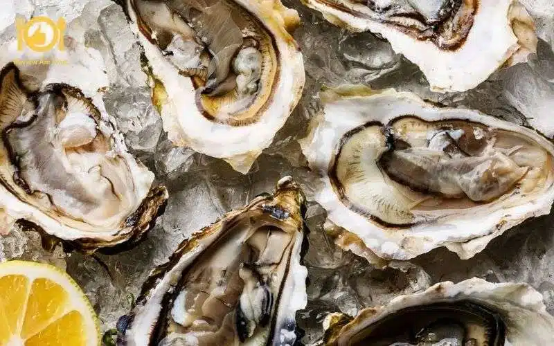 Cách làm hàu nướng mỡ hành bằng nồi chiên không dầu cực ngon 6 hàu nướng mỡ hành bằng nồi chiên không dầu