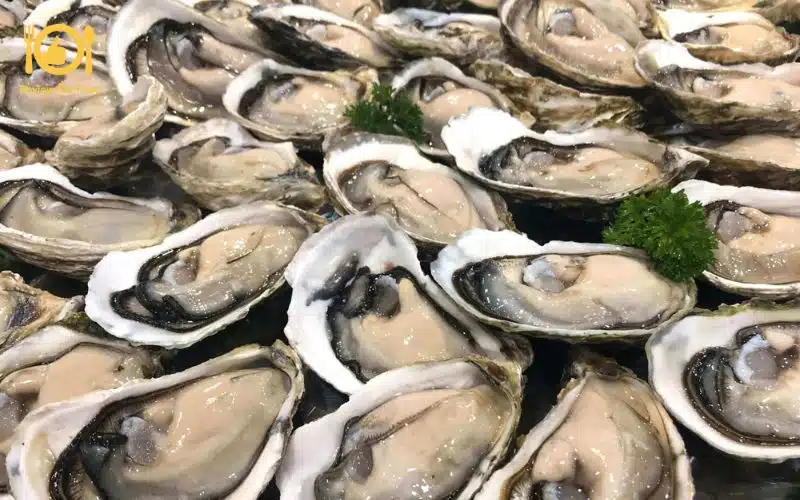 Hướng dẫn làm hàu nướng mỡ hành trứng cút ngon ngay tại nhà 7 hàu nướng mỡ hành trứng cút