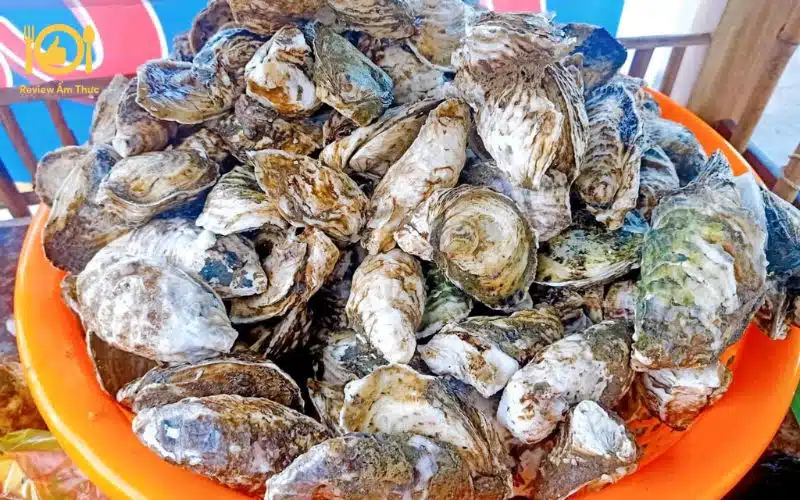 Công thức làm hàu nướng tiêu xanh chinh phục mọi thực khách 8 hàu nướng tiêu xanh