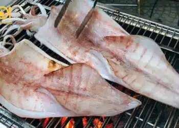 mực 1 nắng nướng mọi