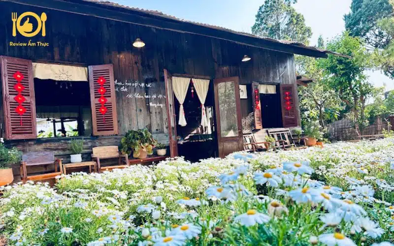 Gợi ý 4 quán lẩu chay Đà Lạt ngon mà bạn không thể bỏ qua 8 lẩu chay đà lạt