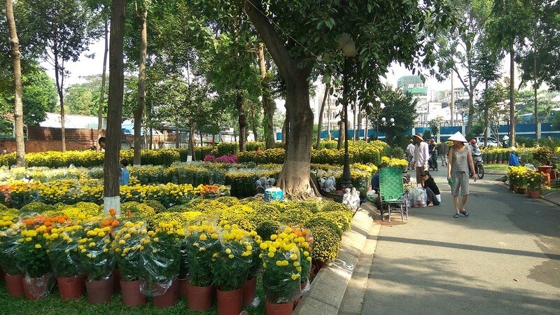 Khám Phá Gò Vấp: Top 13 Địa Điểm Vui Chơi và Ẩm Thực Hấp Dẫn Nhất 13 Những luống hoa đủ màu sắc rực rỡ tại Làng hoa Gò Vấp