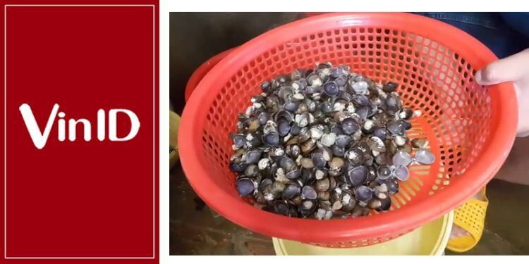 Cách Nấu Bún Hến Xứ Huế Chuẩn Vị, Thơm Ngon Hấp Dẫn Tại Nhà 6 Quy trình tách phần vỏ và phần thịt hến riêng biệt một cách nhanh chóng