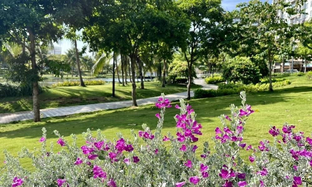 Công viên Sala: Lá Phổi Xanh Giữa Lòng Sài Gòn Đầy Sức Sống 21 Không tự ý ngắt hoa để giữ gìn vẻ đẹp của công viên Sala