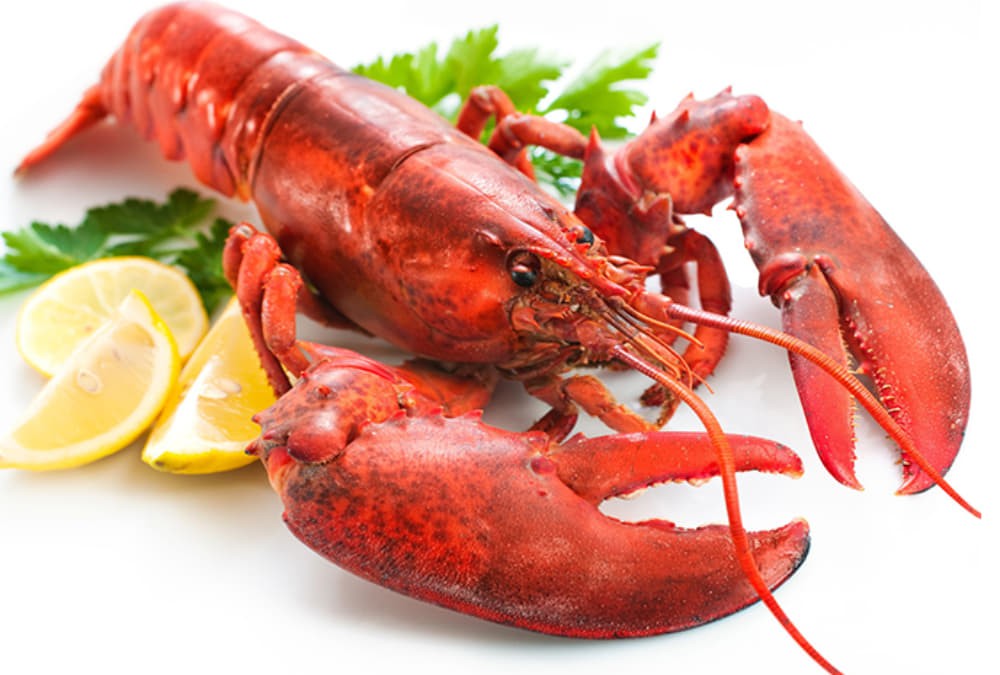 Khám Phá Top 10+ Quán Ốc Thủ Đức Ngon "Nhức Nách" Với Menu Đa Dạng 8 Nhà hàng Mr Ốc Ngon phục vụ hải sản cao cấp như tôm hùm Alaska