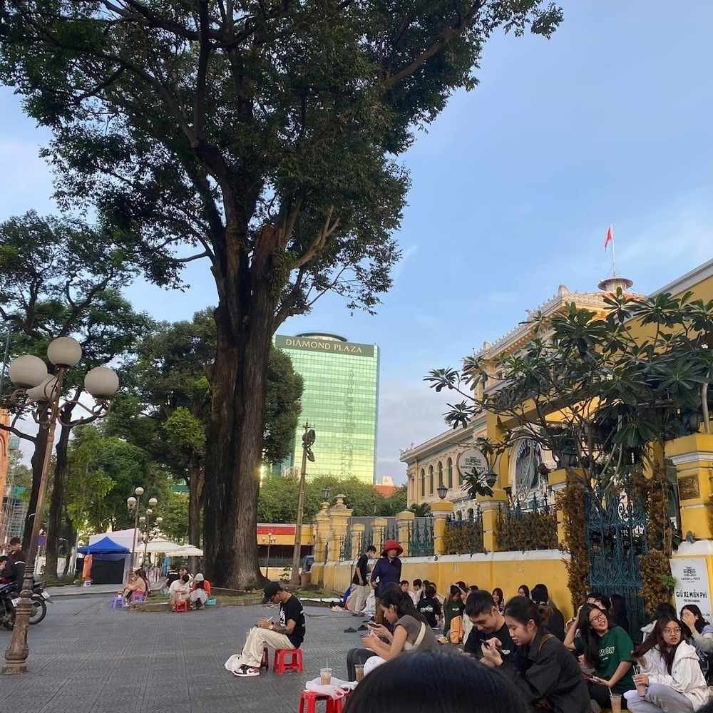 Khám Phá Nét Độc Đáo Của Văn Hóa Cà Phê Bệt Quận 1 Sài Gòn 17 Không gian thoáng đãng, yên bình tại quán cà phê bệt 125 Hai Bà Trưng với nhiều cây xanh.