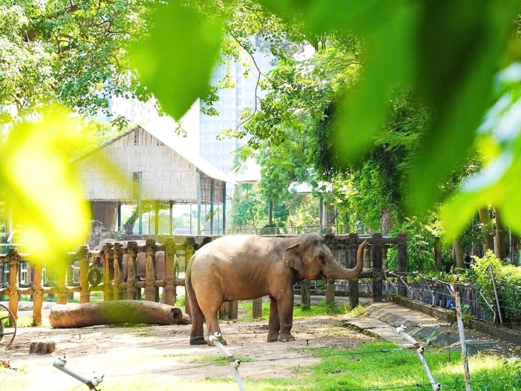 Khám Phá Sài Gòn Trong 1 Ngày: Lịch Trình Chi Tiết Từ Sáng Đến Tối Đầy Hấp Dẫn 8 Đa dạng các loài động thực vật quý hiếm tại Thảo Cầm Viên Sài Gòn