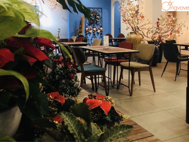 Hình ảnh giới thiệu lịch sử hình thành và phát triển của Phòng trà Khúc Ban Chiều