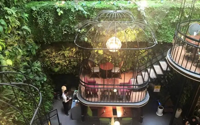 Khám Phá Top 10 Quán Cafe Đêm Sài Gòn Đẹp Hút Hồn Không Thể Bỏ Lỡ 19 Không gian huyền ảo như cổ tích với cây xanh và lồng chim khổng lồ tại Terrace Cafe