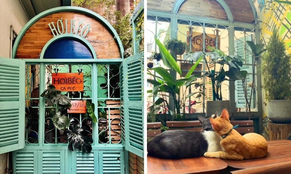 Khám phá thiên đường cafe mèo Quận 1 và những điểm đến lân cận hấp dẫn 11 Hơi Béo Cà Phê với không gian học tập, làm việc yên tĩnh và mèo đáng yêu