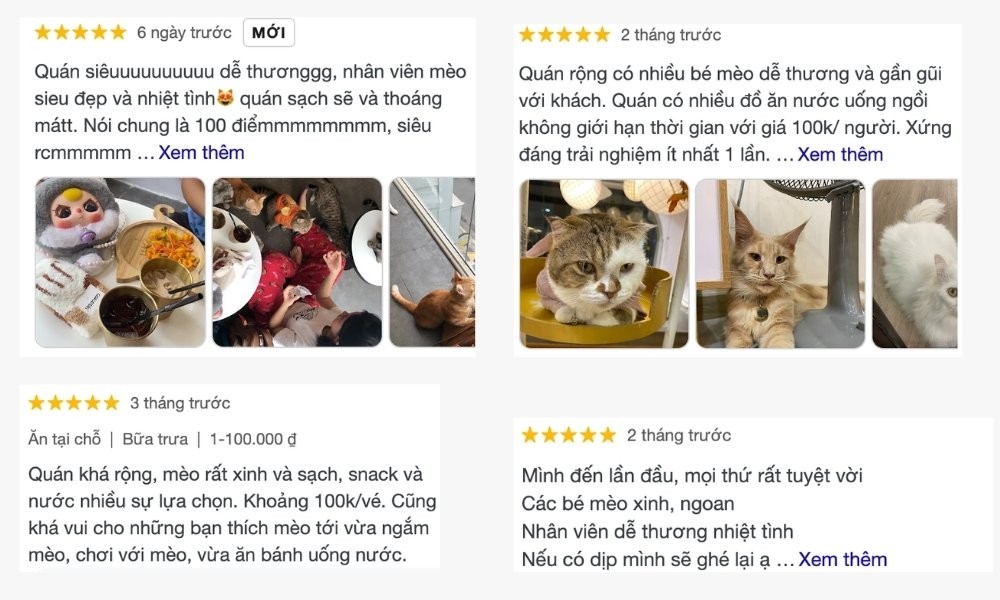 Khám phá thiên đường cafe mèo Quận 1 và những điểm đến lân cận hấp dẫn 9 Phản hồi tích cực từ khách hàng về CATFE Coffee trên Google