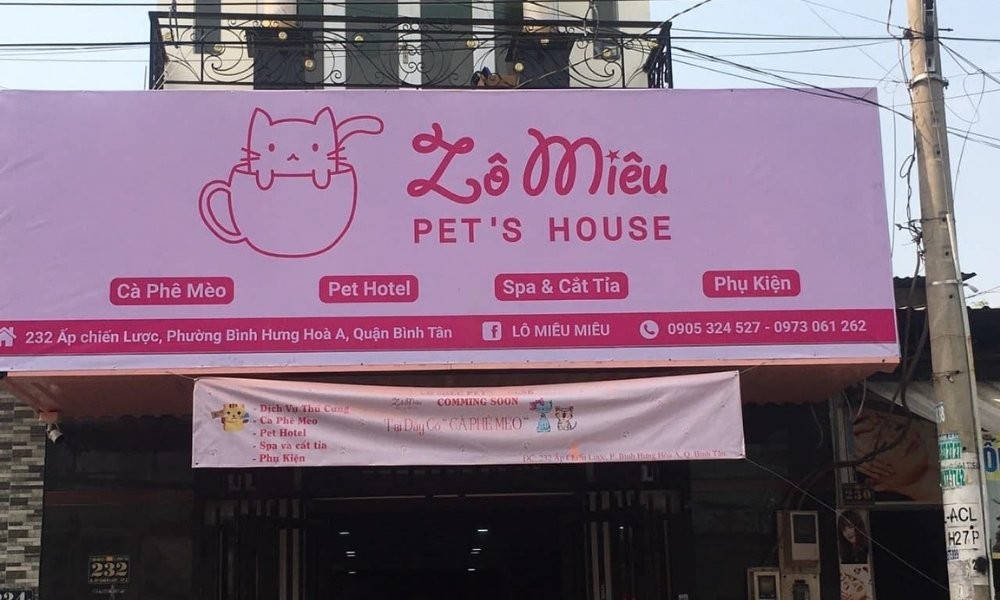 Khám phá thiên đường cafe mèo Quận 1 và những điểm đến lân cận hấp dẫn 12 Lô Miêu Pet’s House - điểm đến quen thuộc của những người yêu mèo tại TP.HCM