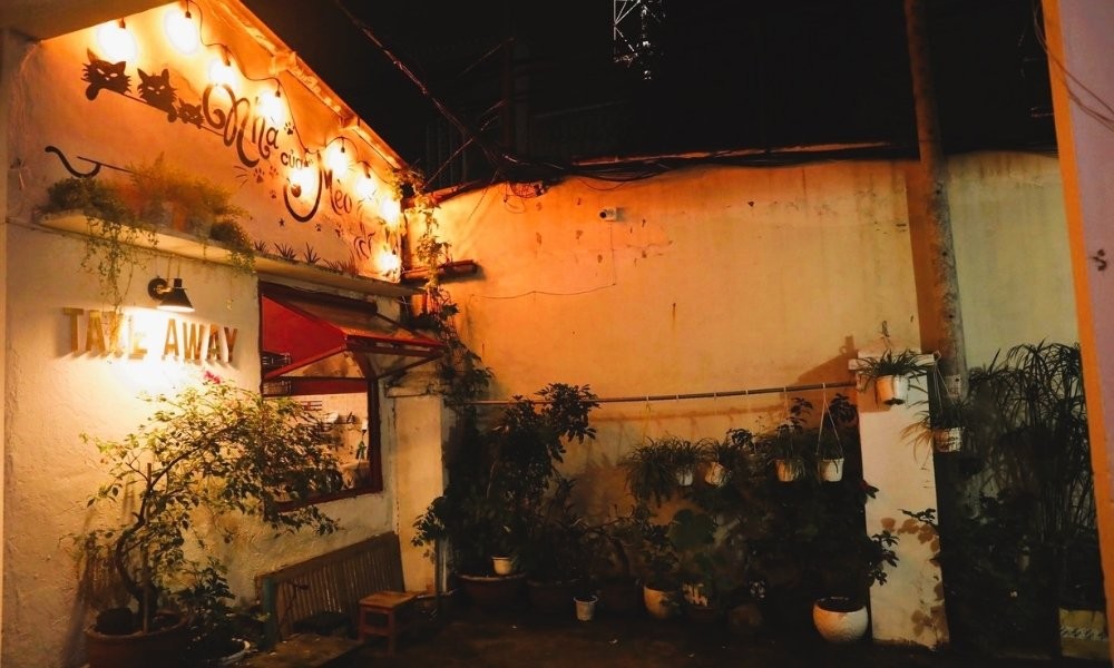 Khám phá thiên đường cafe mèo Quận 1 và những điểm đến lân cận hấp dẫn 10 Không gian ấm cúng, thư giãn tại Nhà Của Mèo