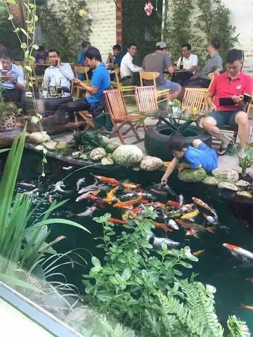 Quán SG Cafe Thủy Mộc với không gian xanh mát và hồ cá koi
