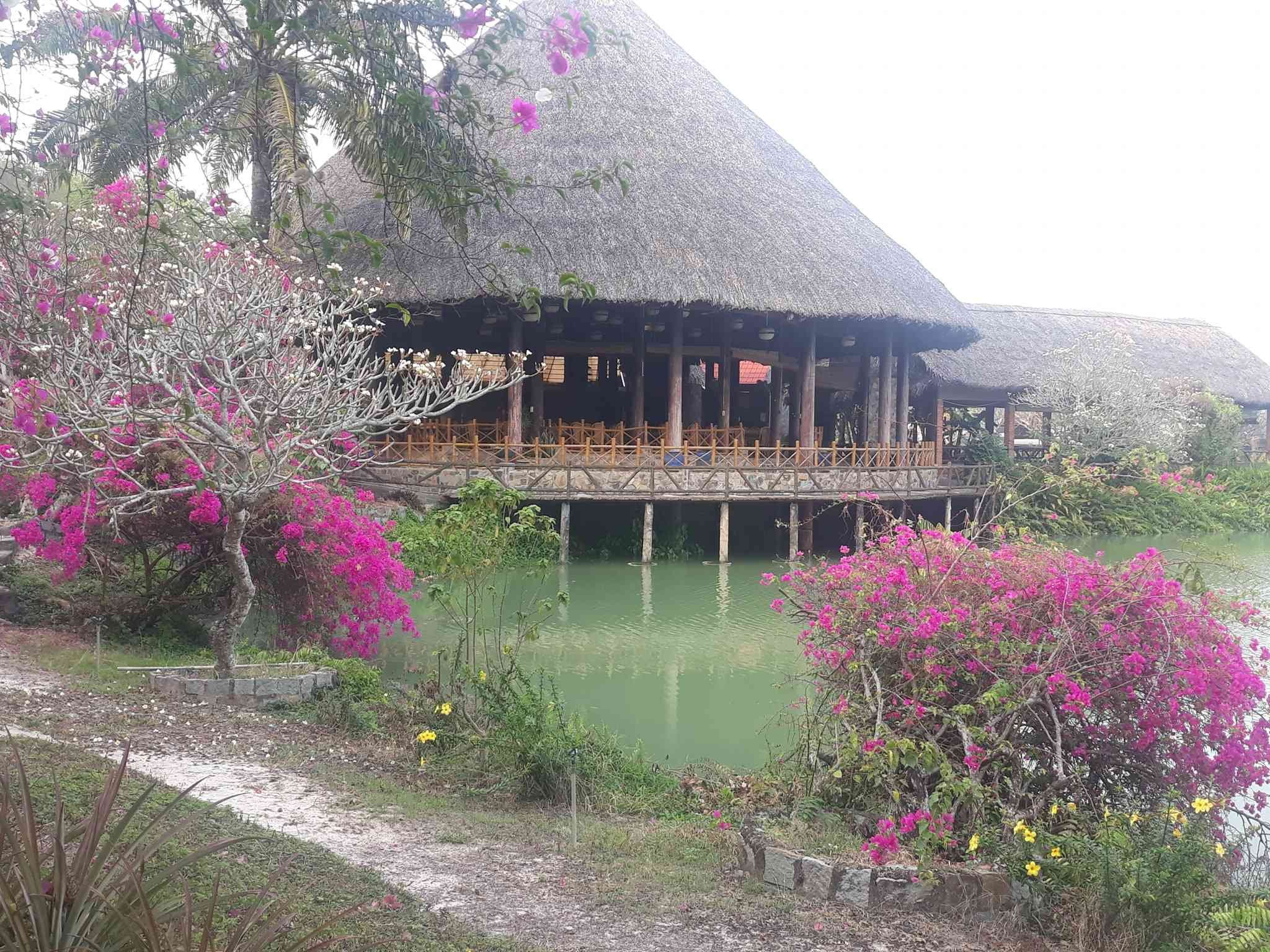Khám Phá Top 12 Khu Du Lịch Sinh Thái TPHCM: Thiên Đường Xanh Giữa Lòng Đô Thị 25 Tại đây cũng có rất nhiều background đẹp để du khách check in