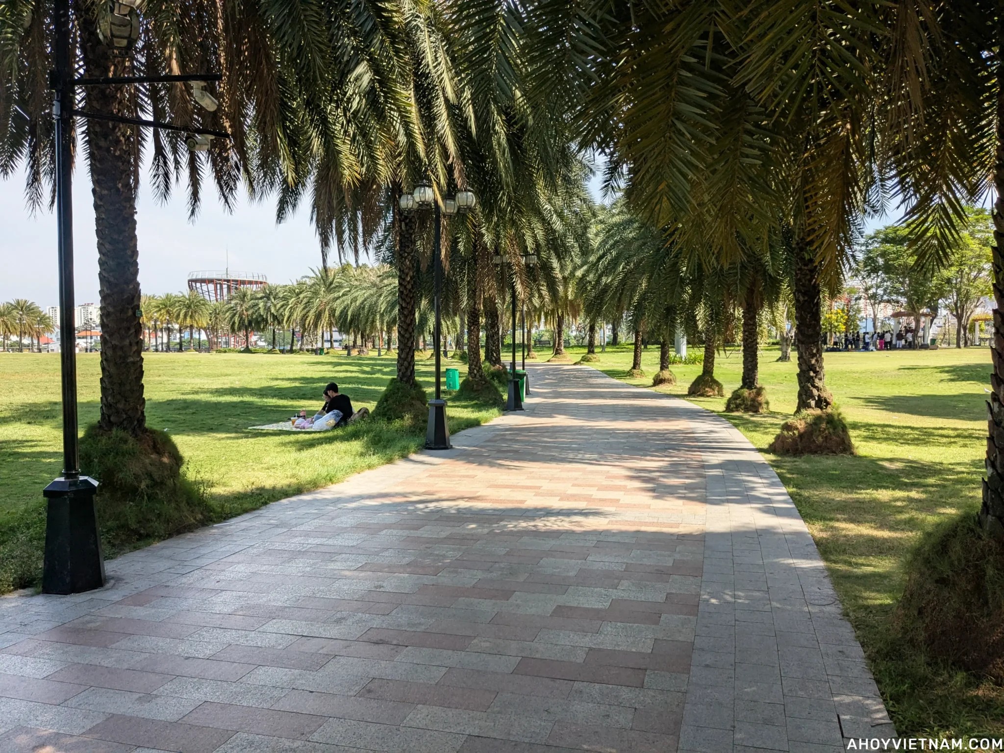 Khám Phá Công Viên Vinhomes Central Park: Viên Ngọc Xanh Giữa Lòng Sài Gòn 9 Con đường lát đá qua hàng cọ với nhiều người ngồi trên thảm cỏ tại Công viên Vinhomes Central Park