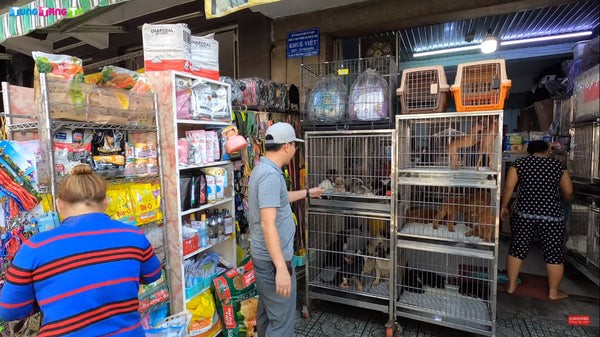 Review Ẩm Thực: Khám Phá Thế Giới Chó Mèo Tại Chợ Thú Cưng Uy Tín 8 Hình ảnh một trong những khu chợ bán chó mèo lớn nhất tại Sài Gòn