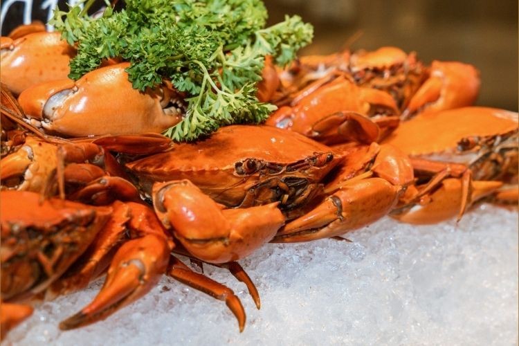 Khám Phá Top 20+ Nhà Hàng Buffet Hải Sản TP.HCM: Từ Trải Nghiệm Đẳng Cấp Đến Bữa Tiệc Ngon Rẻ 26 Nhà hàng Mermaid mang đến chiếc view “triệu đô” của thành phố từ tầng 25