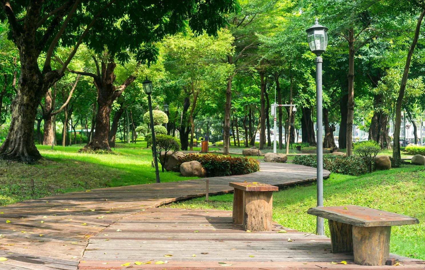 Khám Phá Công Viên Tao Đàn: Ốc Đảo Xanh Giữa Lòng Sài Gòn Náo Nhiệt 9 Du khách tản bộ trên con đường rợp bóng cây xanh mát trong công viên