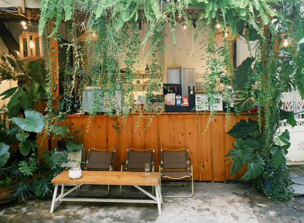 Top 11 Quán Cafe Độc Đáo Ở Sài Gòn "Hot Hit" Nhất Định Phải Ghé 11 Góc quầy gọi món phủ đầy cây xanh ở Tiệm cà phê Nhà Mình